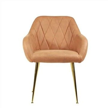 Dining Chair With Gold Painting Metal Legs