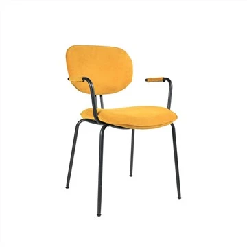 Comfortable Leisure Chair With Armrest