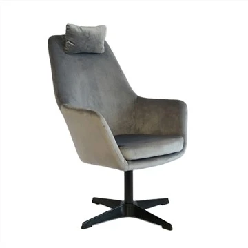 Dexterous Fabric Arm Chair With 4 Star Legs