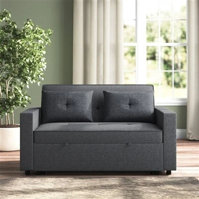 Loveseat Twin Sleeper Sofa